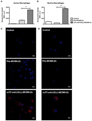 scFv-Anti-LDL(-)-Metal-Complex Multi-Wall Functionalized-Nanocapsules as a Promising Tool for the Prevention of Atherosclerosis Progression